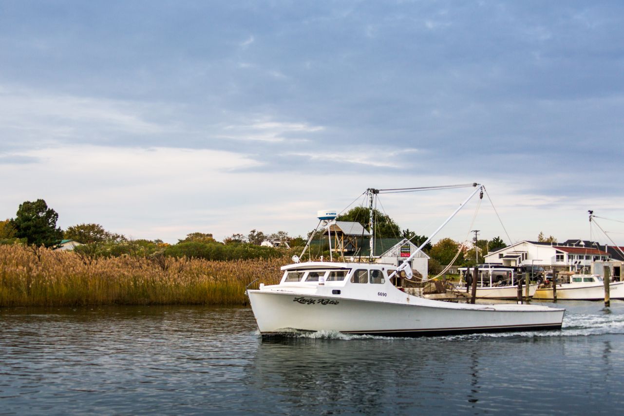 Tilghman Island Waterman