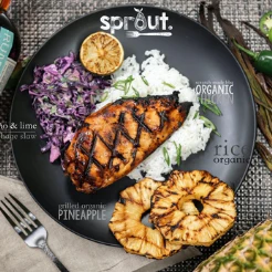 Sprout meal plate with grilled chicken, rice, pineapple and slaw