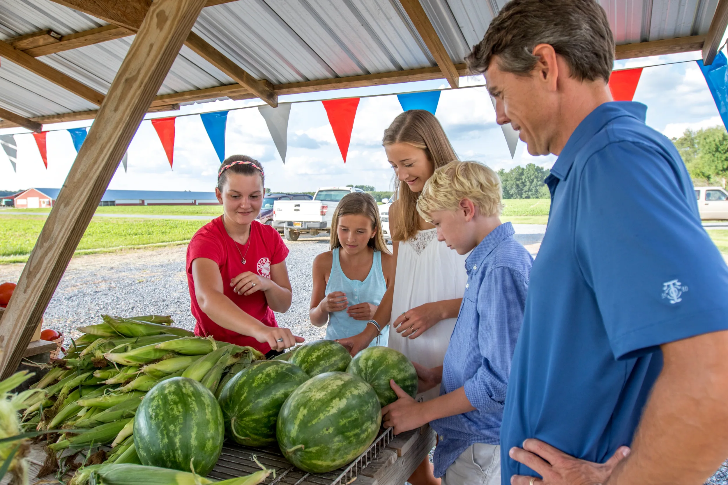 Family looking over corn and watermelons at an outdoor farm stand under bunting