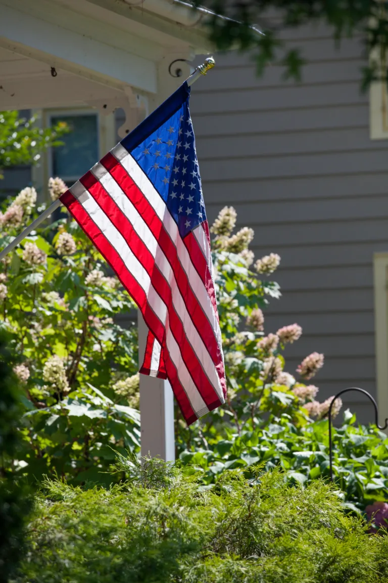 American flag beside a gray house and blooming hydrangea bushes
