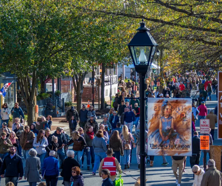 Crowded fall sidewalk downtown with pedestrians and a street lamp