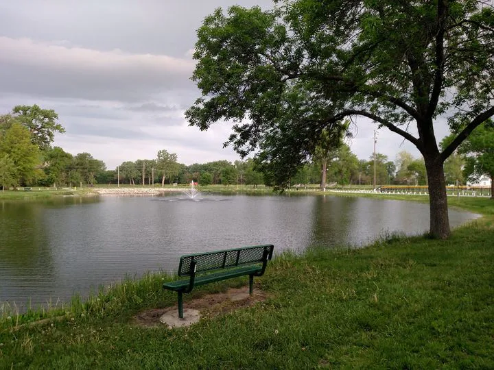 Green park bench beside a pond under a large shade tree