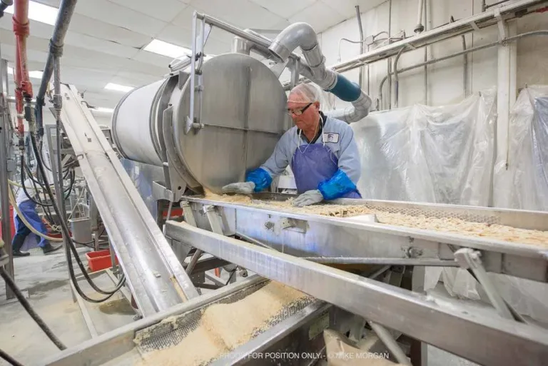 Worker in blue uniform tending clam processing equipment on a conveyor