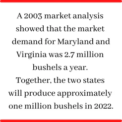 Text graphic: 2003 market analysis showed Maryland and Virginia demand of 2.7 million bushels a year
