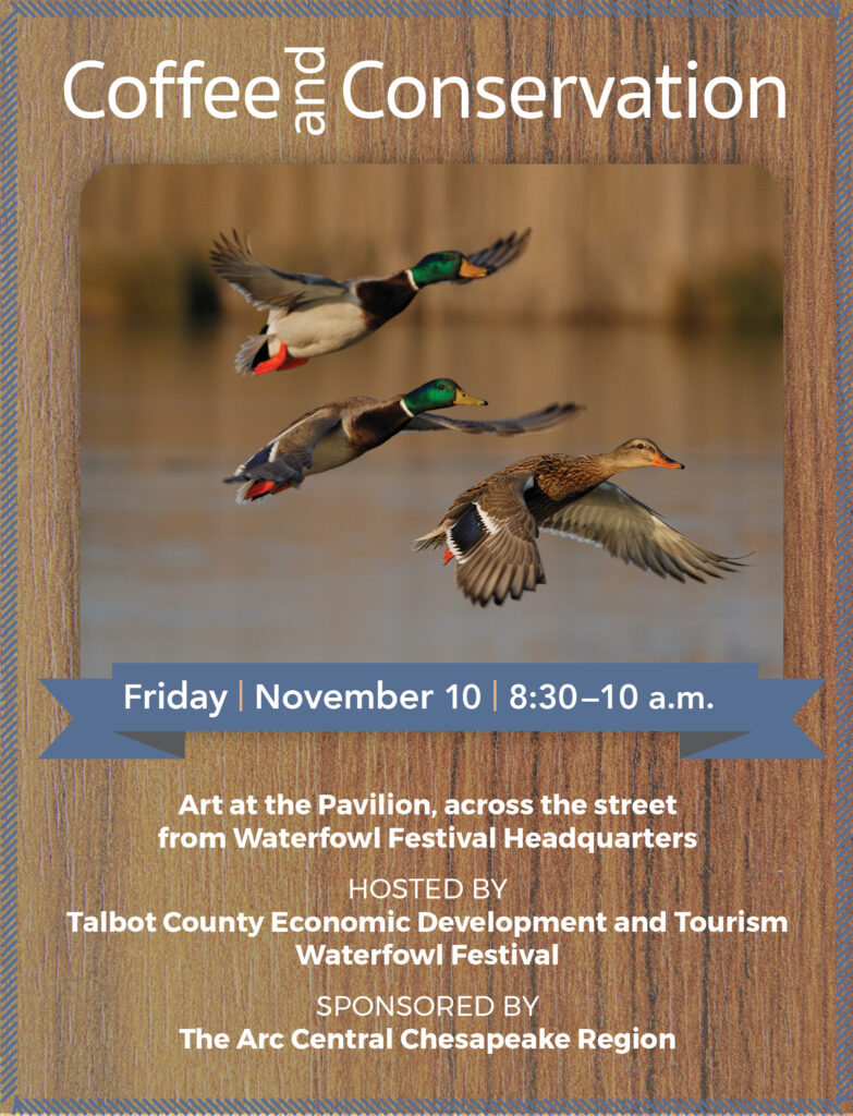 The Talbot County Department of Economic Development and Tourism will again team up with the Waterfowl Festival to host Coffee and Conservation, a networking event to celebrate the opening of the festival’s 52nd year.

Sponsored by The Arc Central Chesapeake Region, the breakfast event will be held in Art at the Pavilion, a tented venue across from the Waterfowl Building on South Harrison Street from 8:30-10 a.m. on Friday, Nov. 10. The event connects the business community with the Waterfowl Festival and celebrates the business of conserving the region’s abundant environmental resources.
