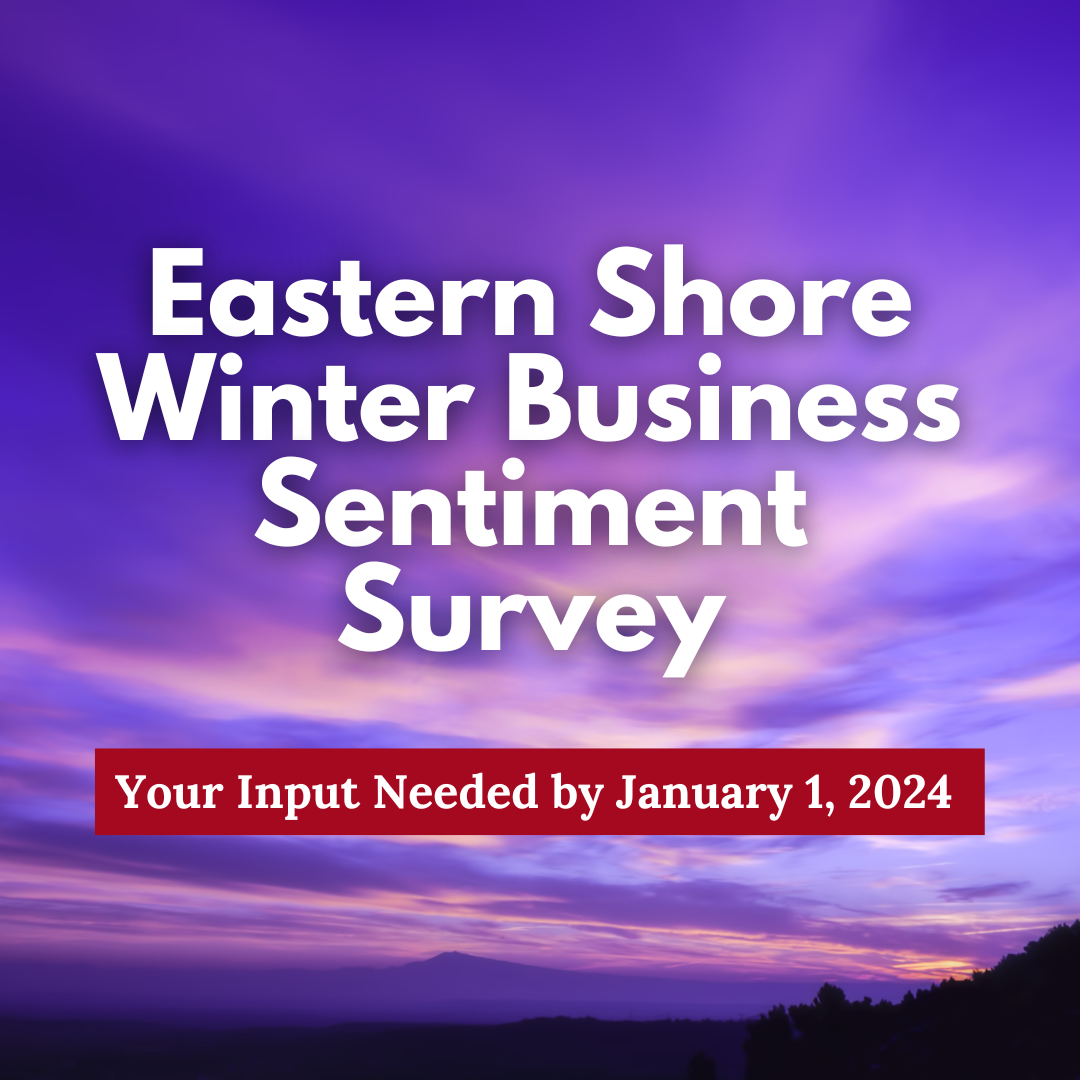 Business Sentiment Survey Winter 2023