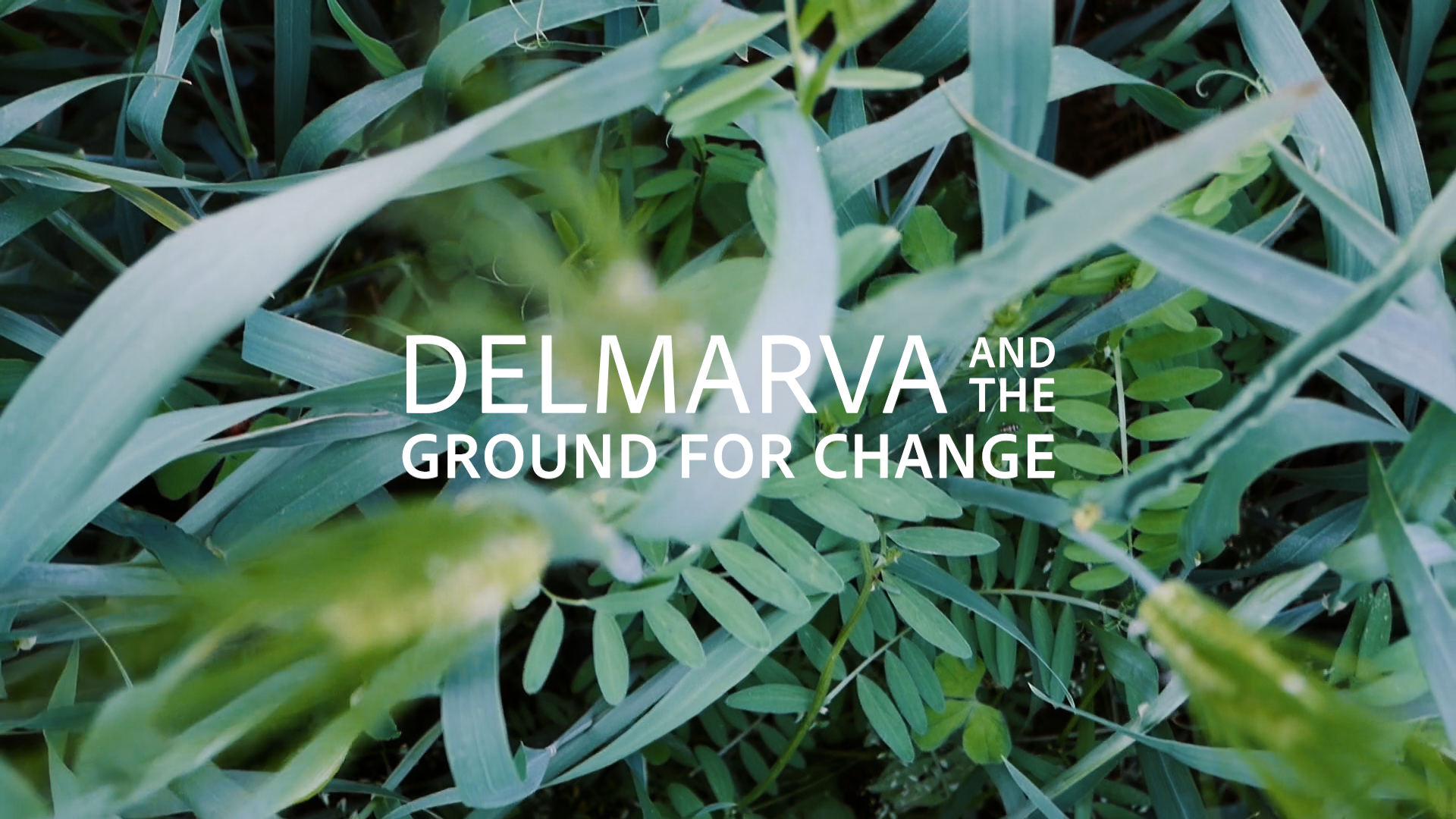 Delmarva Ground for Change