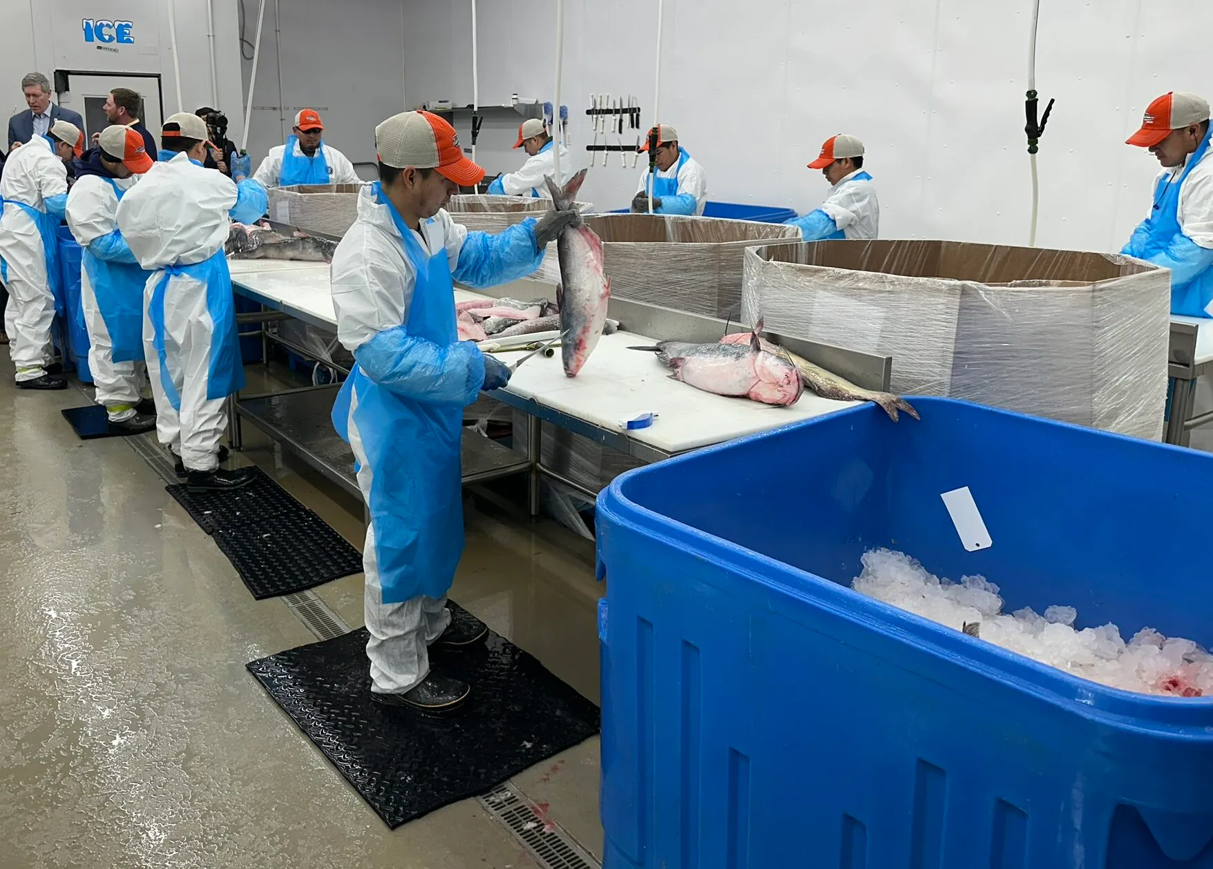 Tilghman Seafood Company