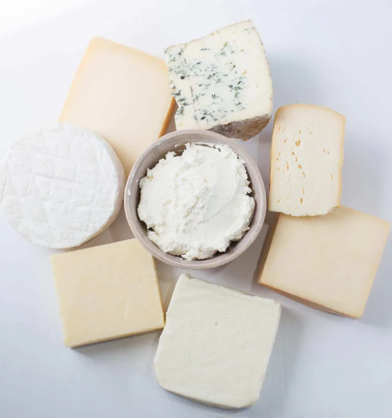 Assortment of cheeses on a white background, including a bowl of soft fresh cheese