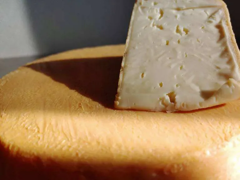 Wedge of white cheese on a wheel of golden cheese