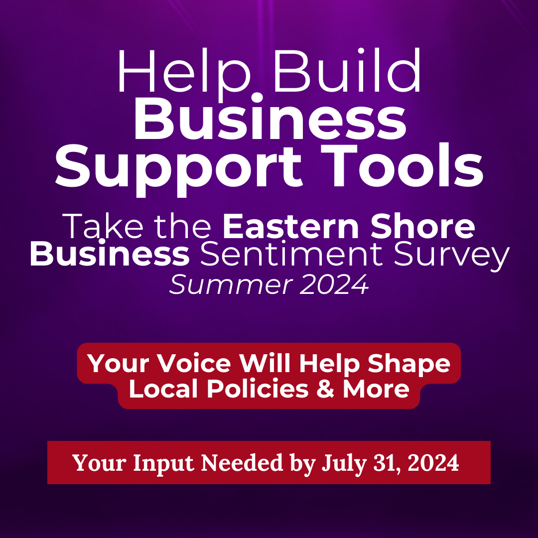Business Sentiment Survey