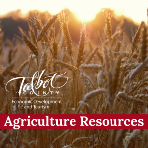 Agriculture resources in Talbot County