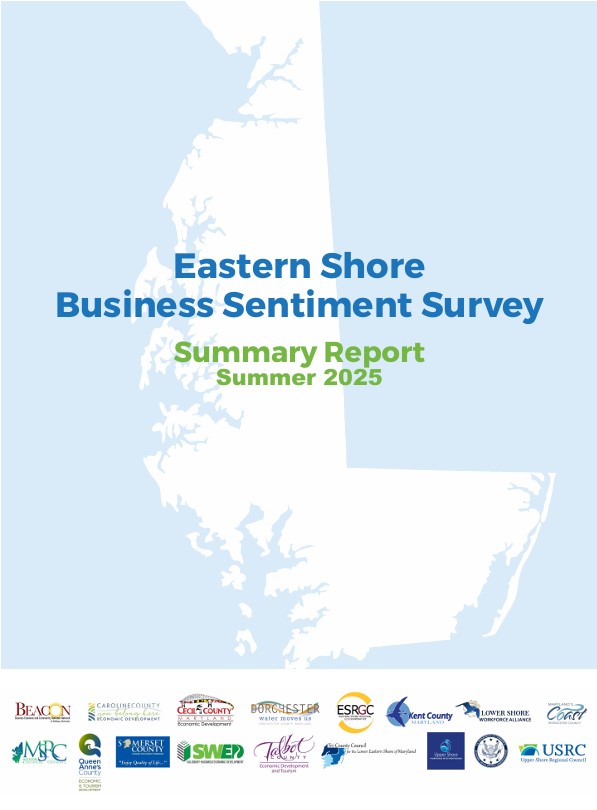 Business Sentiment Survey Summer 2025