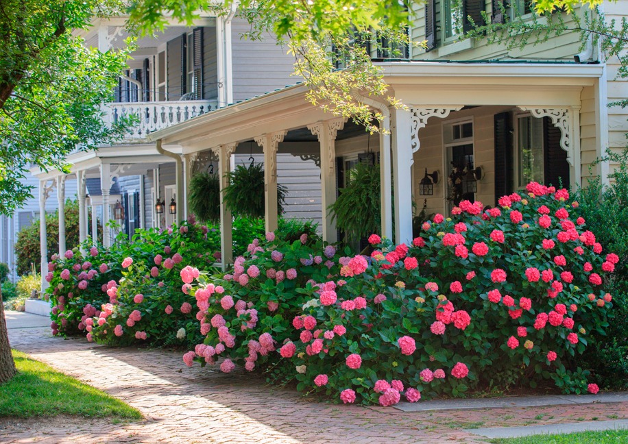 Historic Talbot County home with spring flowers