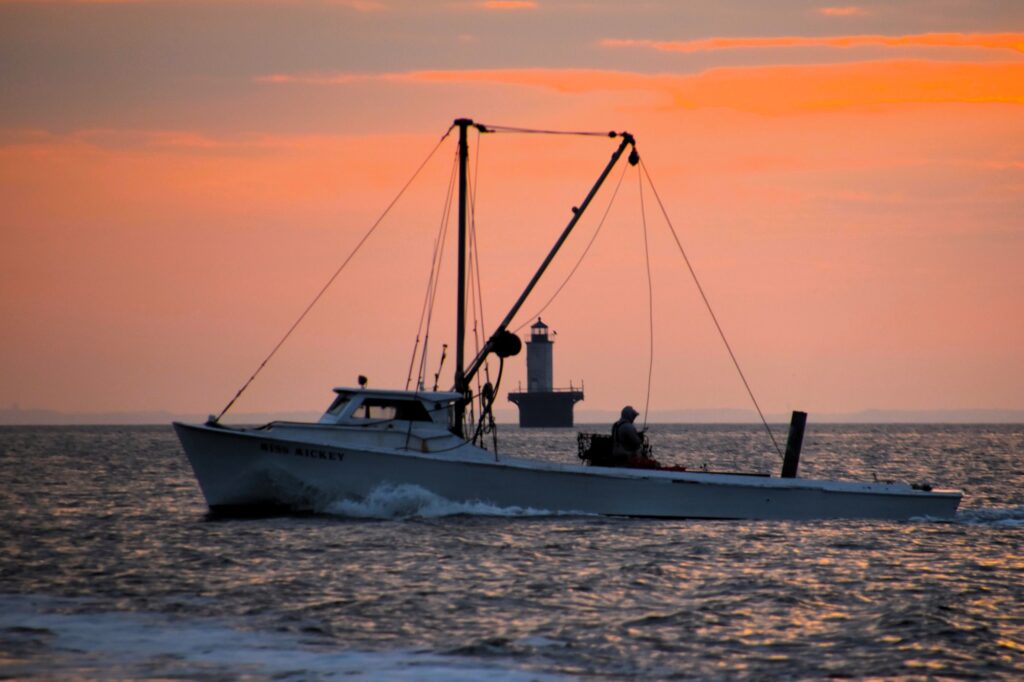 Chesapeake Bay Oystering