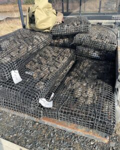 FerryCoveSeeding