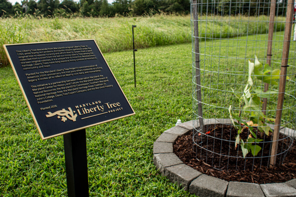 Talbot County Liberty Tree Dedication Ceremony 7