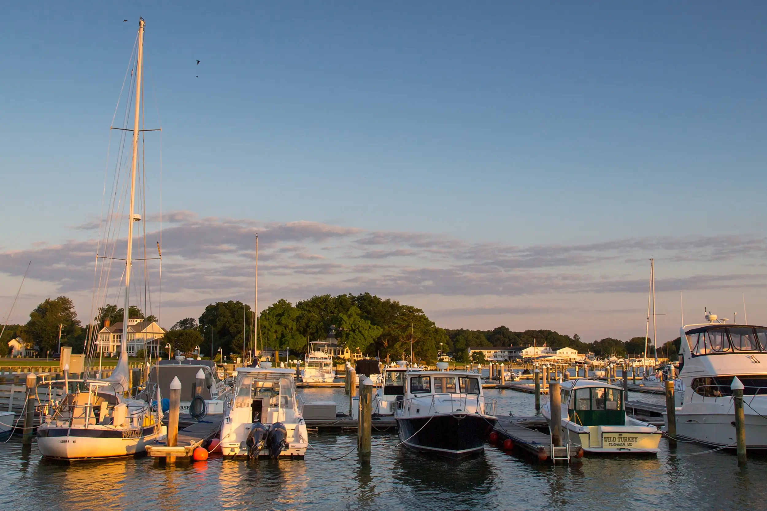 Boats lined up at the docks