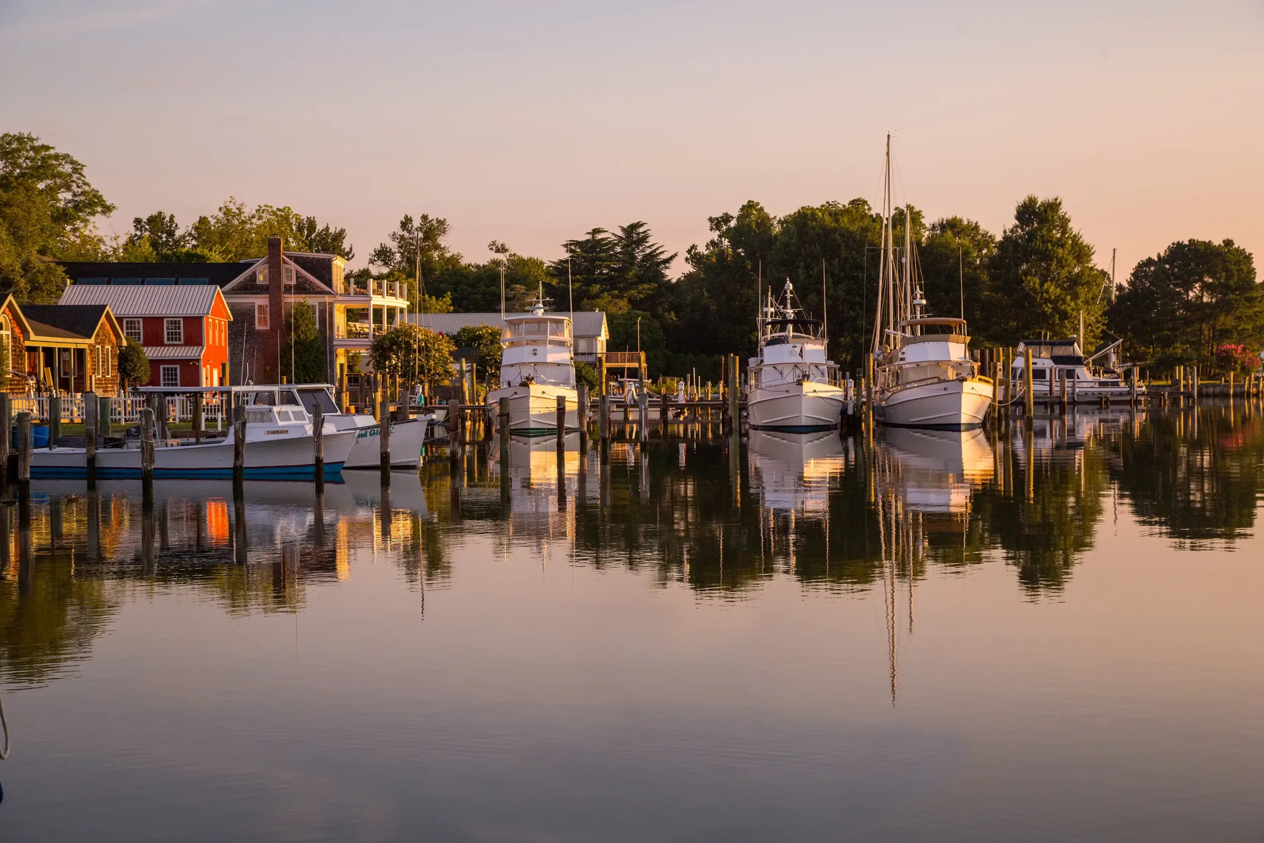 Boats docked in a marina